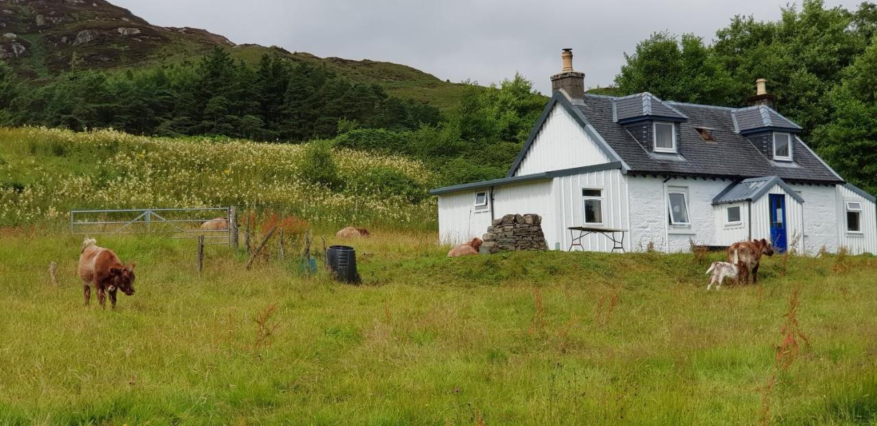 Villa Isle Of Carna, Secluded Scottish Island, Loch Sunart à Acharacle Extérieur photo