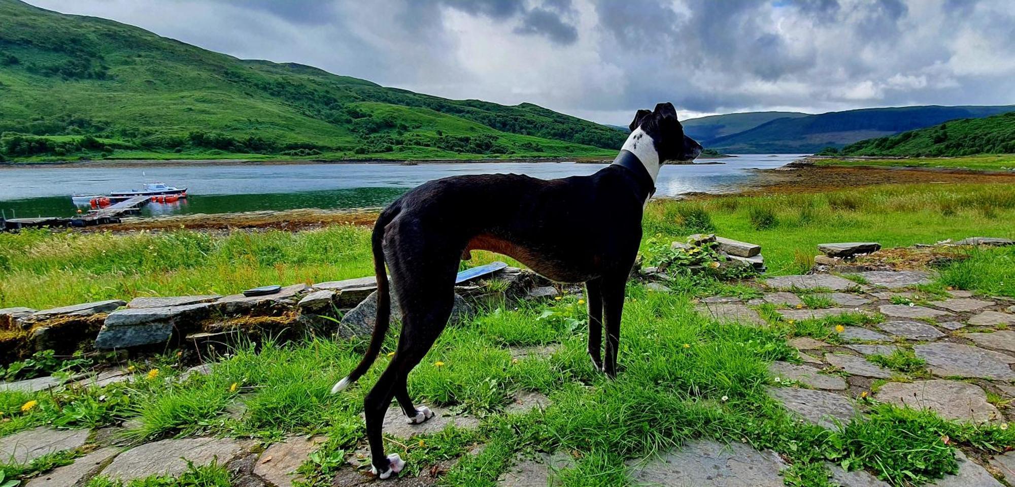 Villa Isle Of Carna, Secluded Scottish Island, Loch Sunart à Acharacle Extérieur photo